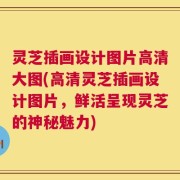 灵芝插画设计图片高清大图(高清灵芝插画设计图片，鲜活呈现灵芝的神秘魅力)