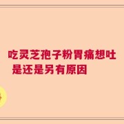 吃灵芝孢子粉胃痛想吐 是还是另有原因