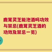 鹿茸灵芝能泡酒吗功效与禁忌(鹿茸灵芝酒的功效及禁忌一览)