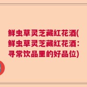 鲜虫草灵芝藏红花酒(鲜虫草灵芝藏红花酒：寻常饮品里的好品位)