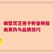 破壁灵芝孢子粉鉴别指南真伪与品质技巧