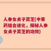 人参女贞子灵芝(中草药组合进化，探秘人参女贞子灵芝的功效)