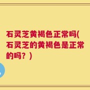 石灵芝黄褐色正常吗(石灵芝的黄褐色是正常的吗？)