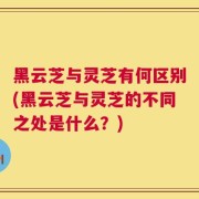 黑云芝与灵芝有何区别(黑云芝与灵芝的不同之处是什么？)