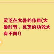 灵芝在大暑的作用(大暑时节，灵芝的功效大有不同!)