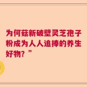 为何菇新破壁灵芝孢子粉成为人人追捧的养生好物？”