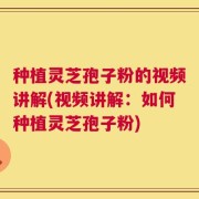 种植灵芝孢子粉的视频讲解(视频讲解：如何种植灵芝孢子粉)