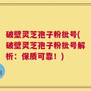 破壁灵芝孢子粉批号(破壁灵芝孢子粉批号解析：保质可靠！)