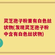 灵芝孢子粉里有白色丝状物(发现灵芝孢子粉中含有白色丝状物)