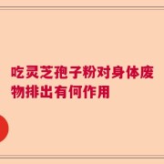 吃灵芝孢子粉对身体废物排出有何作用