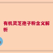 有机灵芝孢子粉含义解析