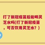 打了新冠疫苗后能喝灵芝水吗(打了新冠疫苗，可否饮用灵芝水？)