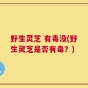 野生灵芝 有毒没(野生灵芝是否有毒？)