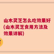 山木灵芝怎么吃效果好(山木灵芝食用方法及效果详解)