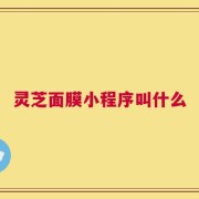 灵芝面膜小程序叫什么