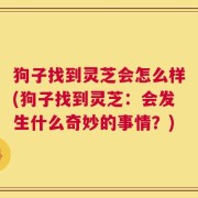 狗子找到灵芝会怎么样(狗子找到灵芝：会发生什么奇妙的事情？)