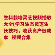 生料栽培灵芝视频播放大全(学习生态灵芝生长技巧，收获高产低成本  视频合集