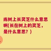练树上长灵芝什么意思啊(长在树上的灵芝，是什么意思？)