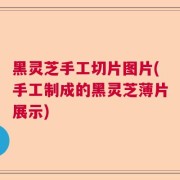 黑灵芝手工切片图片(手工制成的黑灵芝薄片展示)