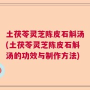 土茯苓灵芝陈皮石斛汤(土茯苓灵芝陈皮石斛汤的功效与制作方法)