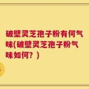 破壁灵芝孢子粉有何气味(破壁灵芝孢子粉气味如何？)