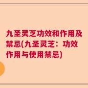 九圣灵芝功效和作用及禁忌(九圣灵芝：功效作用与使用禁忌)
