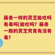 藤条一样的灵芝能吃吗有毒吗(能吃吗？藤条一般的灵芝究竟有没有毒？
