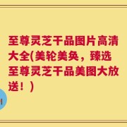 至尊灵芝干品图片高清大全(美轮美奂，臻选至尊灵芝干品美图大放送！)