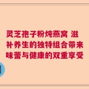 灵芝孢子粉炖燕窝 滋补养生的独特组合带来味蕾与健康的双重享受