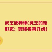 灵芝硬棒棒(灵芝的新形态：硬棒棒再升级)