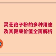 灵芝孢子粉的多种用途及其健康价值全面解析