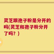 灵芝跟孢子粉是分开的吗(灵芝和孢子粉分开了吗？)