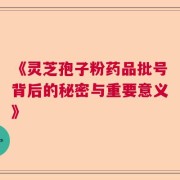 《灵芝孢子粉药品批号背后的秘密与重要意义》