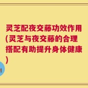 灵芝配夜交藤功效作用(灵芝与夜交藤的合理搭配有助提升身体健康)