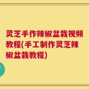 灵芝手作辣椒盆栽视频教程(手工制作灵芝辣椒盆栽教程)