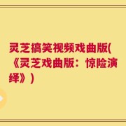 灵芝搞笑视频戏曲版(《灵芝戏曲版：惊险演绎》)