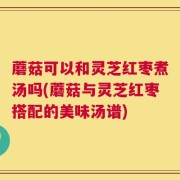 蘑菇可以和灵芝红枣煮汤吗(蘑菇与灵芝红枣搭配的美味汤谱)