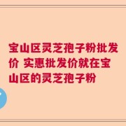 宝山区灵芝孢子粉批发价 实惠批发价就在宝山区的灵芝孢子粉