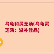 乌龟和灵芝汤(乌龟灵芝汤：滋补佳品)