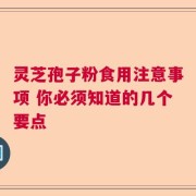 灵芝孢子粉食用注意事项 你必须知道的几个要点
