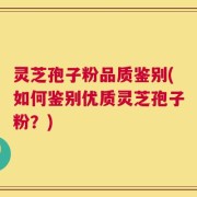 灵芝孢子粉品质鉴别(如何鉴别优质灵芝孢子粉？)