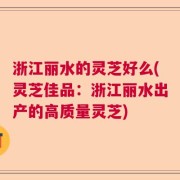 浙江丽水的灵芝好么(灵芝佳品：浙江丽水出产的高质量灵芝)