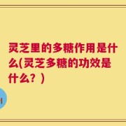 灵芝里的多糖作用是什么(灵芝多糖的功效是什么？)