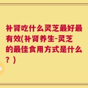 补肾吃什么灵芝最好最有效(补肾养生-灵芝的最佳食用方式是什么？)