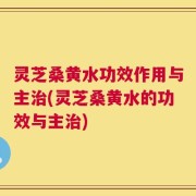 灵芝桑黄水功效作用与主治(灵芝桑黄水的功效与主治)