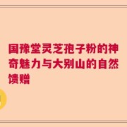 国豫堂灵芝孢子粉的神奇魅力与大别山的自然馈赠