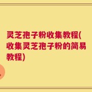 灵芝孢子粉收集教程(收集灵芝孢子粉的简易教程)