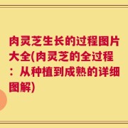 肉灵芝生长的过程图片大全(肉灵芝的全过程：从种植到成熟的详细图解)