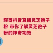 辉哥抖音直播灵芝孢子粉 带你了解灵芝孢子粉的神奇功效