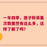 一年四季，孢子粉采集次数居然有这么多，这样了解了吗？